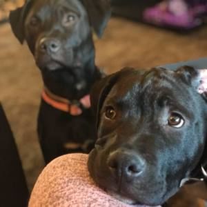 Meet your Posher, Desiree